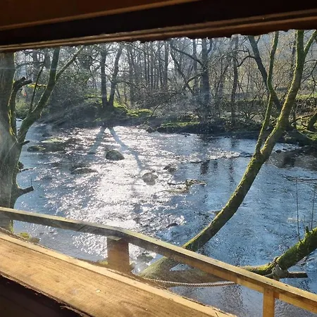 Cabin 2 Campsite